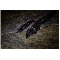 50850_999_FixItGiftSet_3.jpg